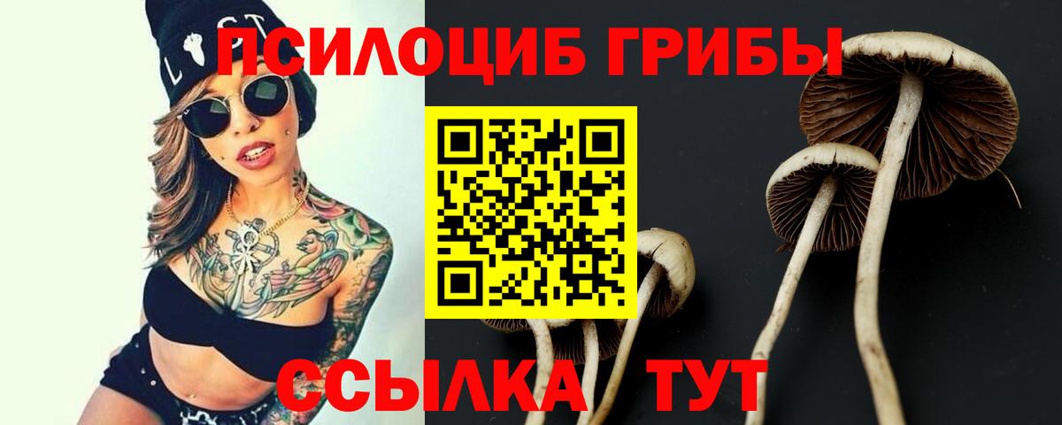 где найти   Галлюциногенные грибы GOLDEN TEACHER  Вход с VPN  Балашов 